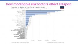 chart depicting lifestyle factors affecting lifespan